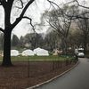 An Emergency Field Hospital Is Going Up In Central Park As Coronavirus Cases Surge In NYC